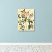 Bühnen des Schmetterlingslebens von Vision Studio Leinwanddruck (Insitu (Holzboden))