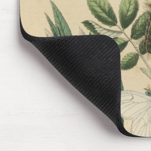 Bühnen des Schmetterlingslebens von Vision Studio Mousepad (Ecke)