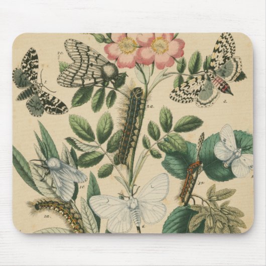 Bühnen des Schmetterlingslebens von Vision Studio Mousepad (Vorne)