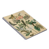 Bühnen des Schmetterlingslebens von Vision Studio Notizblock (Rechte Seite)