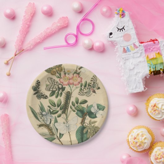 Bühnen des Schmetterlingslebens von Vision Studio Pappteller (Party)