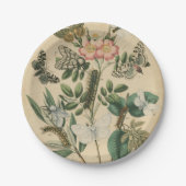 Bühnen des Schmetterlingslebens von Vision Studio Pappteller (Vorderseite)