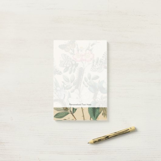 Bühnen des Schmetterlingslebens von Vision Studio Post-it Klebezettel (Auf Schreibtisch)