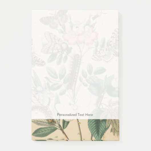 Bühnen des Schmetterlingslebens von Vision Studio Post-it Klebezettel (Vorderseite)