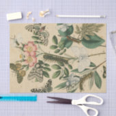 Bühnen des Schmetterlingslebens von Vision Studio Seidenpapier (Handwerk)