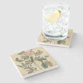 Bühnen des Schmetterlingslebens von Vision Studio Steinuntersetzer (Seitenansicht)