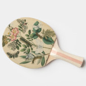Bühnen des Schmetterlingslebens von Vision Studio Tischtennis Schläger (Seitenansicht)