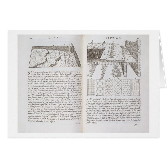 Bühnen und Methoden des Legens der Böden, von (Vorderseite (Horizontal))