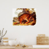 Bühnendruck des 19. Jahrhunderts Poster (Küche)