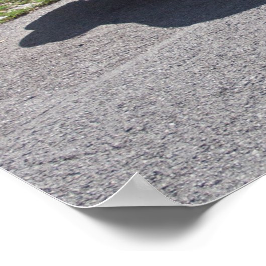 Buick Skylark 1953 Poster (Ecke)