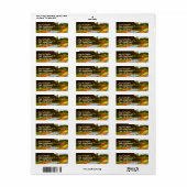 Bulb Fields Holland Van Gogh Fine Art (Vorne)