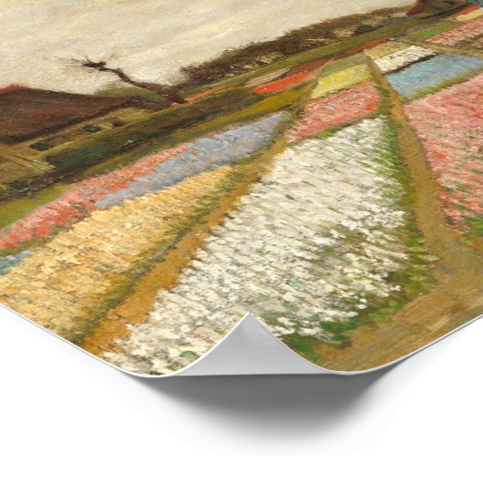 Bulb Fields | Vincent Van Gogh Poster (Ecke)