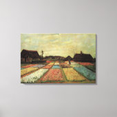 Bulb Fields von Vincent van Gogh Leinwanddruck (Vorderseite)