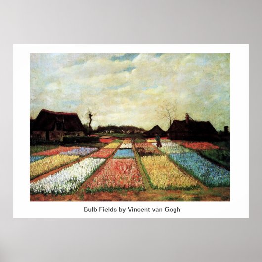 Bulb Fields von Vincent van Gogh. Poster (Vorne)