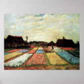 Bulb Fields von Vincent van Gogh. Poster (Vorne)