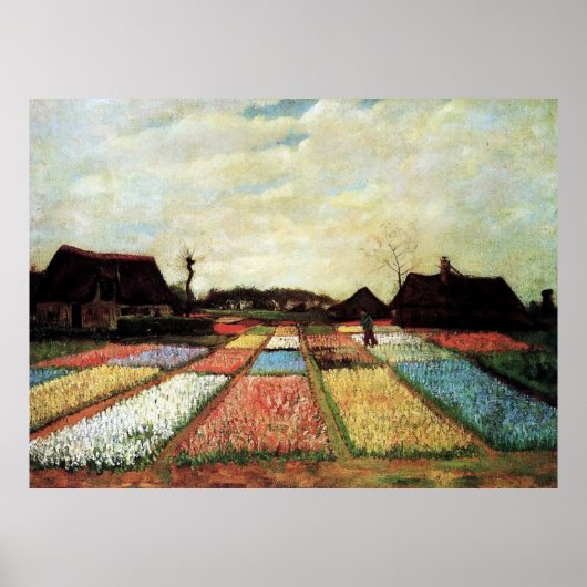 Bulb Fields von Vincent van Gogh. Poster (Vorne)