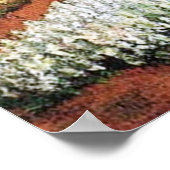 Bulb Fields von Vincent van Gogh. Poster (Ecke)