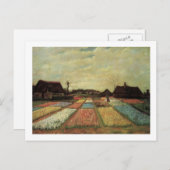 Bulb Fields von Vincent van Gogh. Postkarte (Vorne/Hinten)