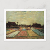 Bulb Fields von Vincent van Gogh. Postkarte (Vorderseite)