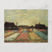Bulb Fields von Vincent van Gogh Postkarte (Vorderseite)