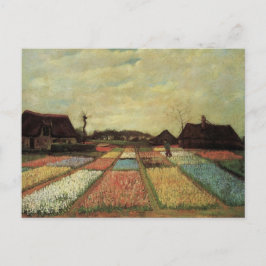 Bulb Fields von Vincent van Gogh. Postkarte