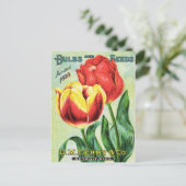 Bulben und Samen Rot und Gelb Postkarte (Stehend Vorderseite)