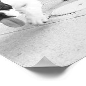 Buldozunge Poster (Ecke)