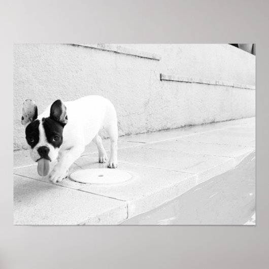 Buldozunge Poster (Vorne)