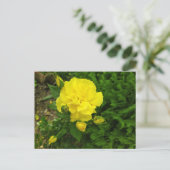 Bulgarische Gelbe Rosen Postkarte (Stehend Vorderseite)