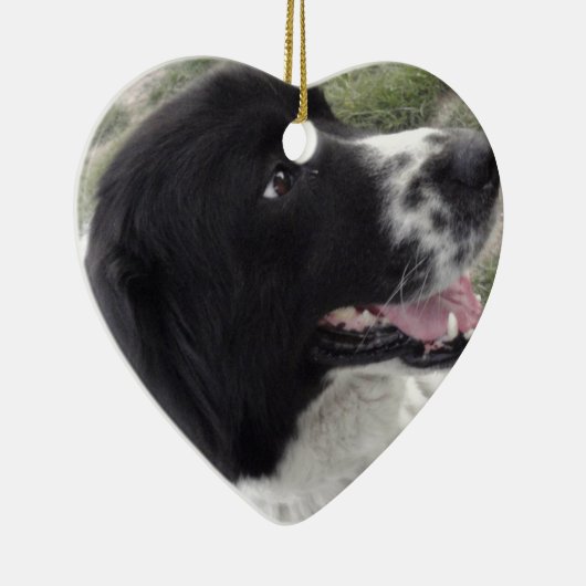 Bulgarischer Schäfer-Hund Sara Keramikornament (Rechts)