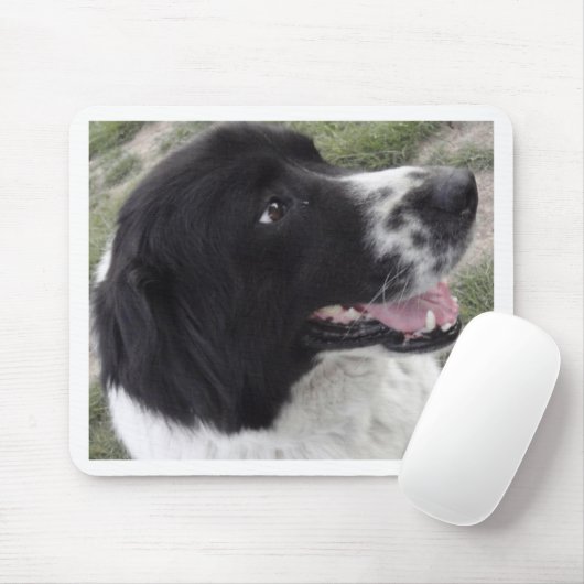 Bulgarischer Schäfer-Hund Sara Mousepad (Mit Mouse)