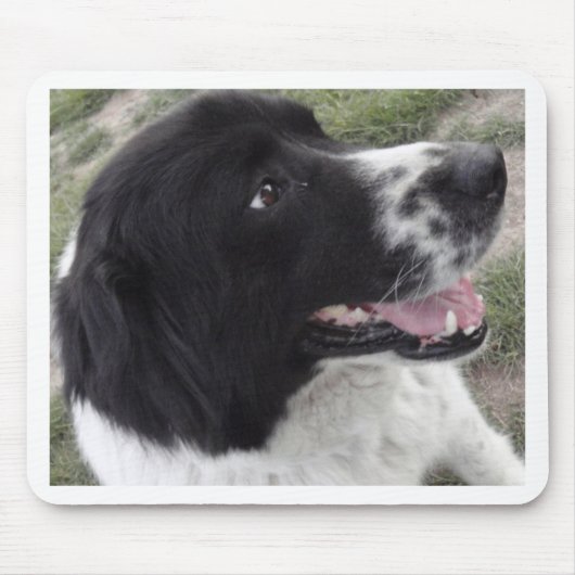 Bulgarischer Schäfer-Hund Sara Mousepad (Vorne)