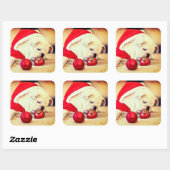 BULHUND MIT Weihnachtsmannmütze Quadratischer Aufkleber (Blatt)