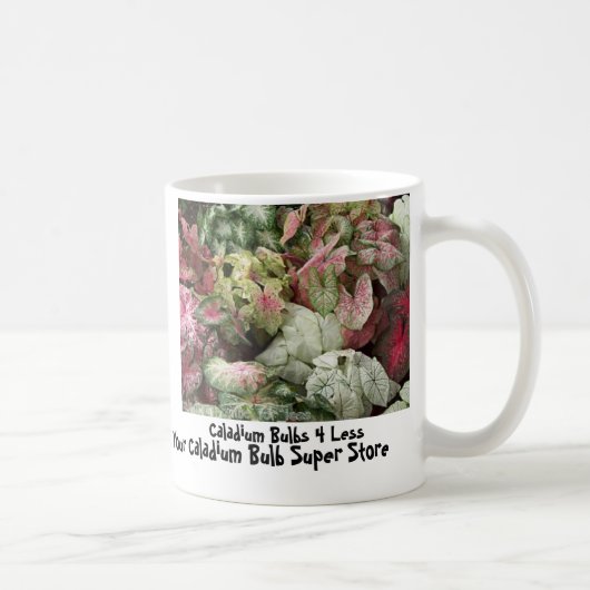 BulkAssortPic, Caladium-Birnen 4 weniger, Ihr Kaffeetasse (Rechts)