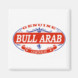 Bull Arab Magnet