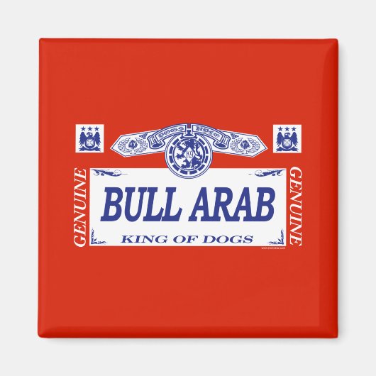 Bull Arab Magnet (Vorne)