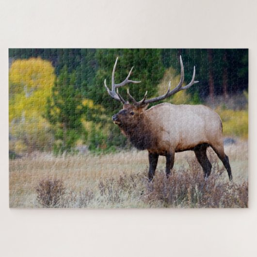 Bull & Aspen Trees | Rocky Mountain Nationalpark Puzzle (Horizontal)