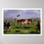 Bull Baiting (oil on paper laid on panel) Poster (Vorne)