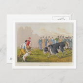 'Bull Baiting', pub.by Thomas McLean, 1820, (Druck Postkarte (Vorne/Hinten)