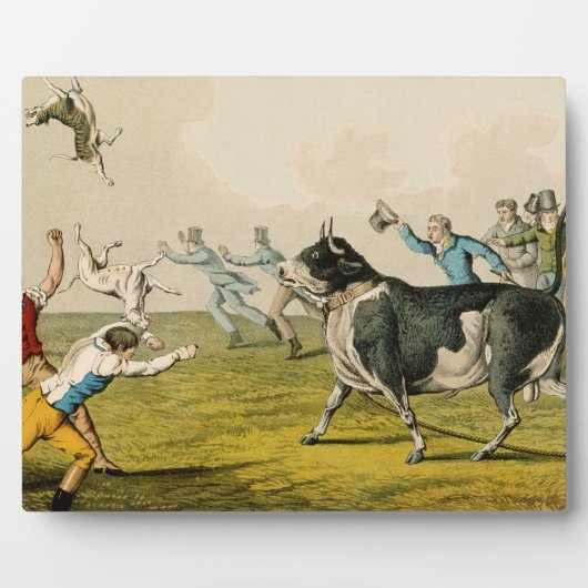 'Bull Baiting', Pub. von Thomas McLean, 1820, (pri Fotoplatte (Vorderseite)