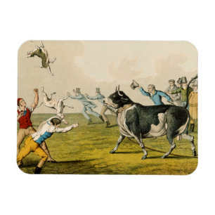 'Bull Baiting', Pub. von Thomas McLean, 1820, (pri Magnet