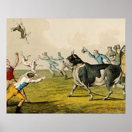 'Bull Baiting', Pub. von Thomas McLean, 1820, (pri Poster (Vorne)