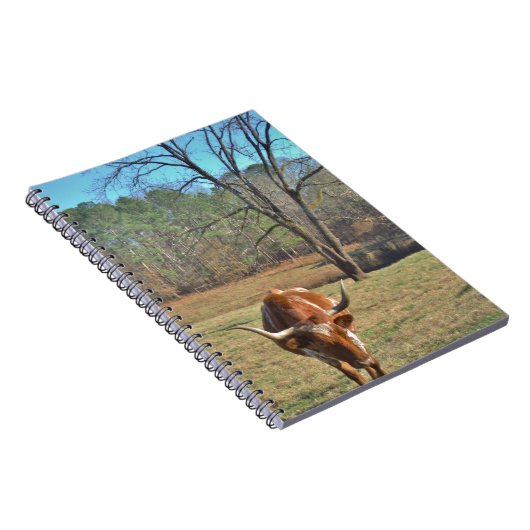 Bull Blue Sky Brawn and White Longhorn Notizblock (Rechte Seite)