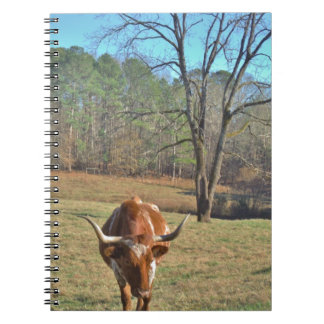 Bull Blue Sky Brawn and White Longhorn Notizblock