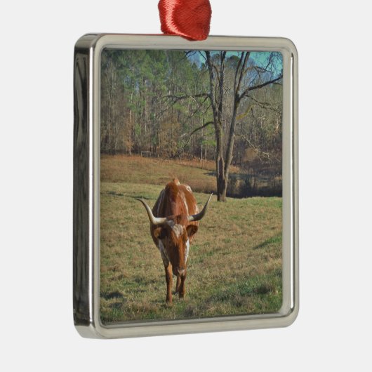 Bull Blue Sky Brawn and White Longhorn Silbernes Ornament (Rechts)