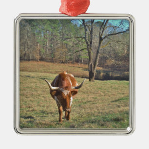 Bull Blue Sky Brawn and White Longhorn Silbernes Ornament