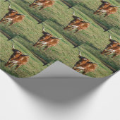 Bull braune und weiße Longhorn Geschenkpapier (Ecke)