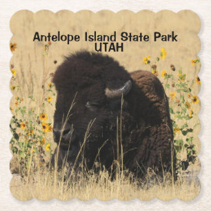 Bull Buffalo Antelope Island UTAH Paper Untersetze Untersetzer