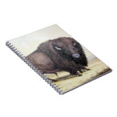 Bull Buffalo Notizblock (Rechte Seite)