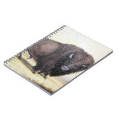 Bull Buffalo Notizblock (Linke Seite)